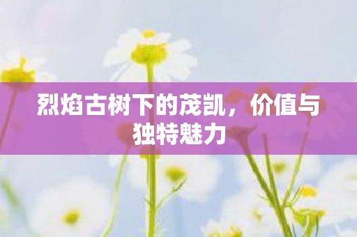 烈焰古树下的茂凯图片