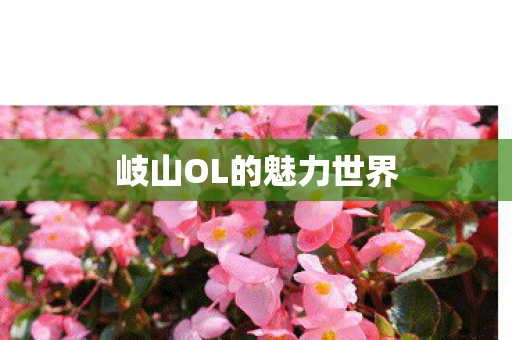 岐山OL的魅力世界图片