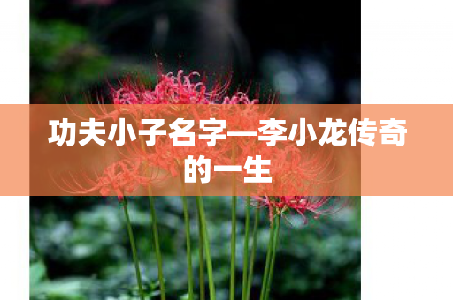 李小龙传奇的一生图片