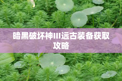 暗黑破坏神III远古装备获取攻略图片