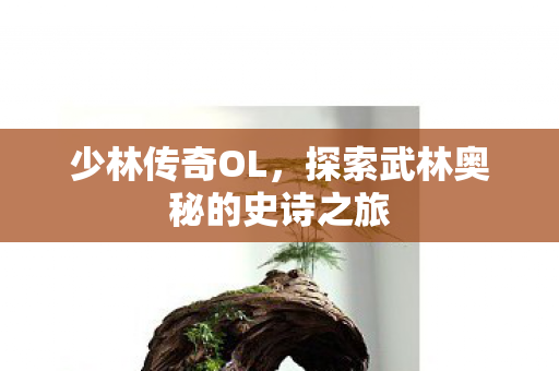 探索武林奥秘的史诗之旅图片
