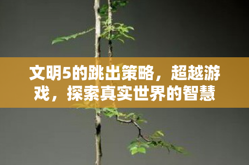 探索真实世界的智慧图片