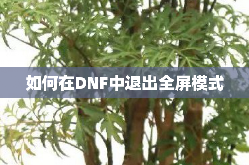 如何在DNF中退出全屏模式图片