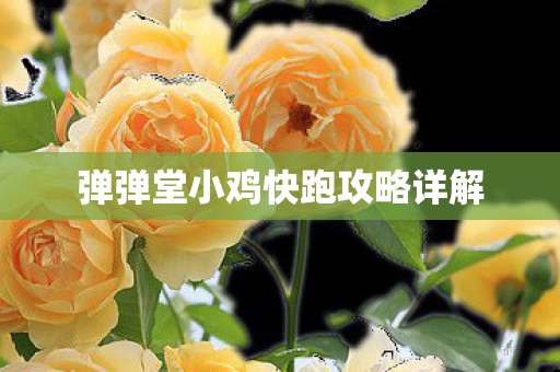 弹弹堂小鸡快跑攻略详解图片