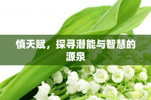 探寻潜能与智慧的源泉图片