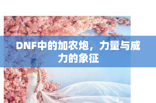 DNF中的加农炮图片