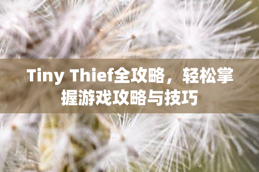 Tiny Thief全攻略图片