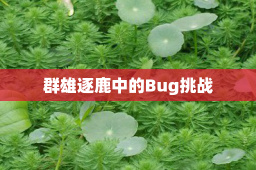 群雄逐鹿中的Bug挑战图片