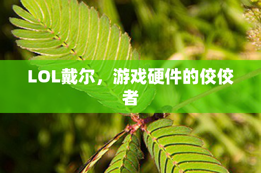 游戏硬件的佼佼者图片