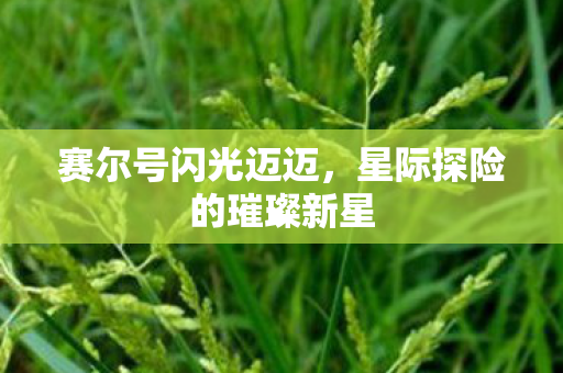 星际探险的璀璨新星图片