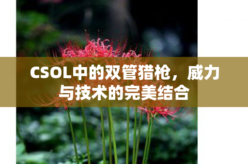 CSOL中的双管猎枪图片