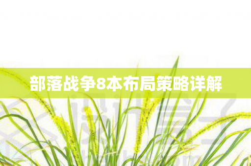 部落战争8本布局策略详解图片