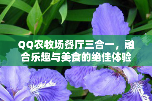 融合乐趣与美食的绝佳体验图片