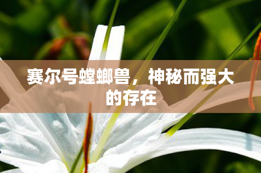 神秘而强大的存在图片