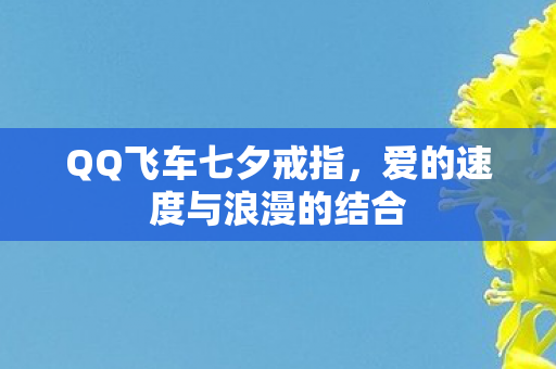 爱的速度与浪漫的结合图片