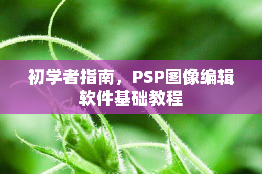 PSP图像编辑软件基础教程图片