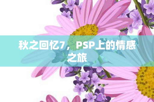 PSP上的情感之旅图片