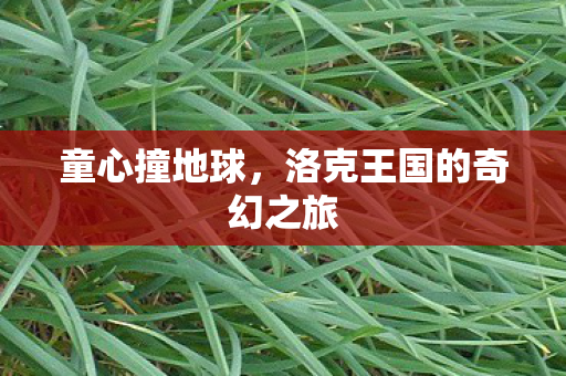 洛克王国的奇幻之旅图片
