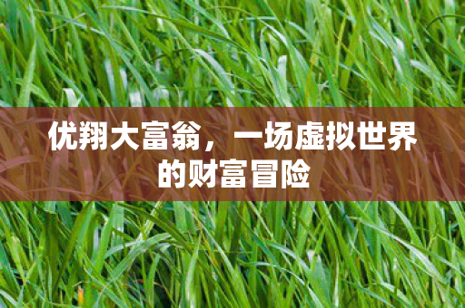 一场虚拟世界的财富冒险图片