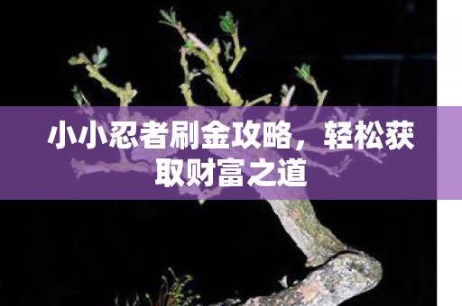 小小忍者刷金攻略图片