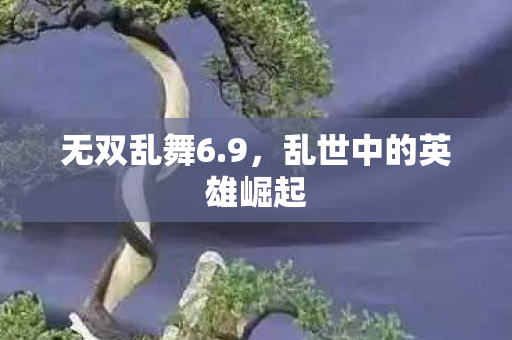 乱世中的英雄崛起图片