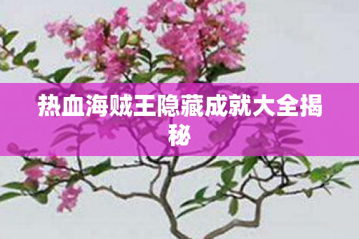 热血海贼王隐藏成就大全揭秘图片