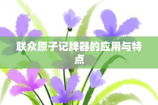 联众原子记牌器的应用与特点图片