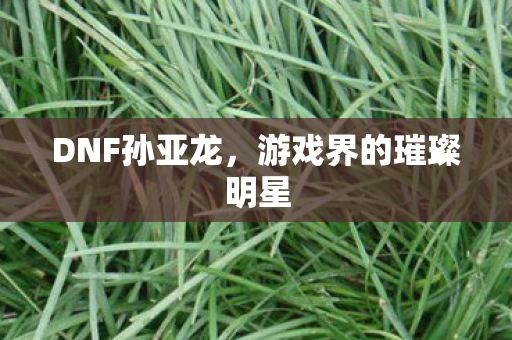 游戏界的璀璨明星图片