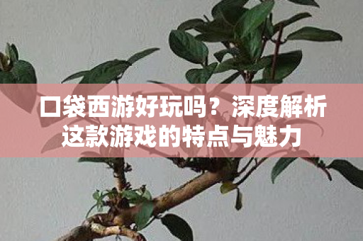 深度解析这款游戏的特点与魅力图片