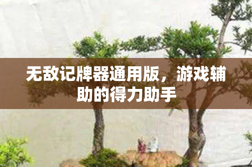 游戏辅助的得力助手图片