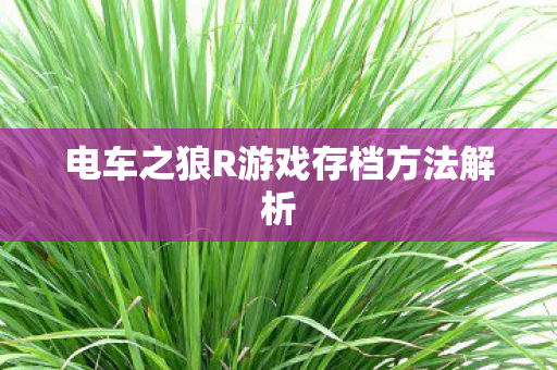 电车之狼R游戏存档方法解析图片