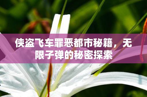 侠盗飞车罪恶都市秘籍图片
