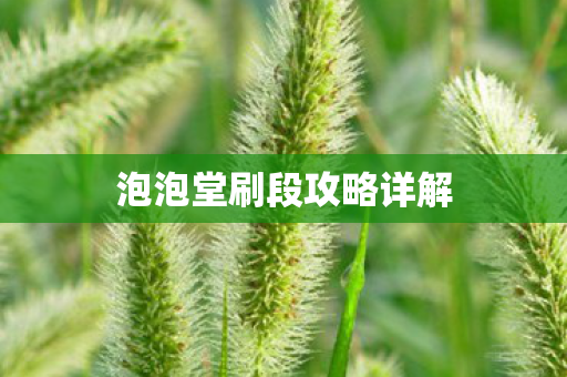 泡泡堂刷段攻略详解图片