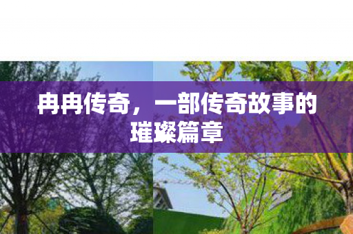 一部传奇故事的璀璨篇章图片