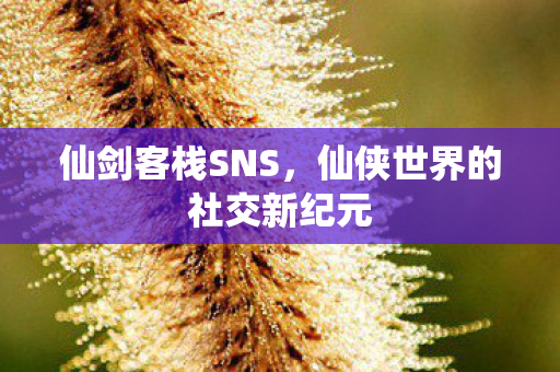 仙侠世界的社交新纪元图片
