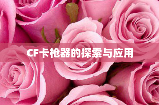 CF卡枪器的探索与应用图片