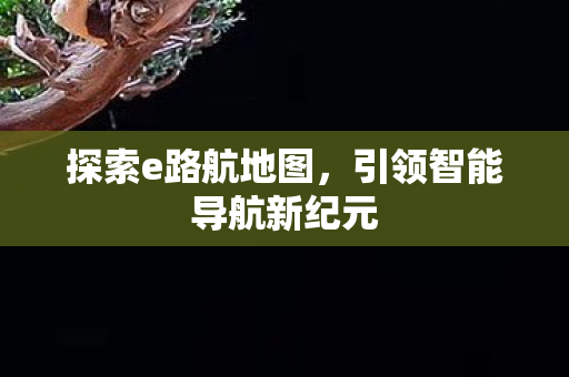 引领智能导航新纪元图片