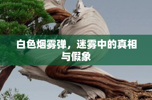 迷雾中的真相与假象图片