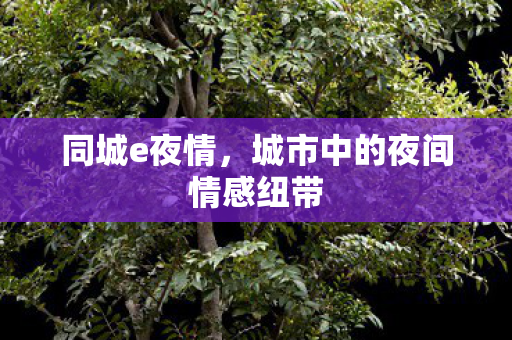 城市中的夜间情感纽带图片