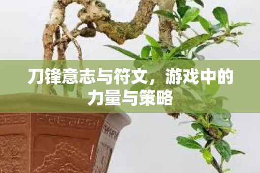 游戏中的力量与策略图片