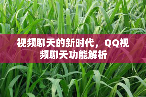 QQ视频聊天功能解析图片