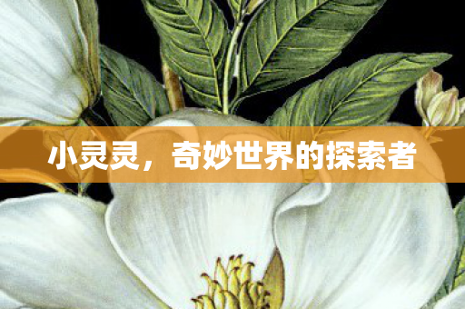 奇妙世界的探索者图片