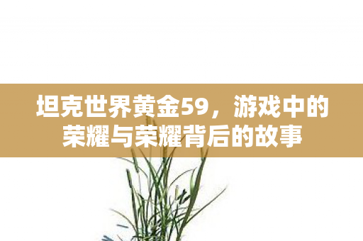 游戏中的荣耀与荣耀背后的故事图片