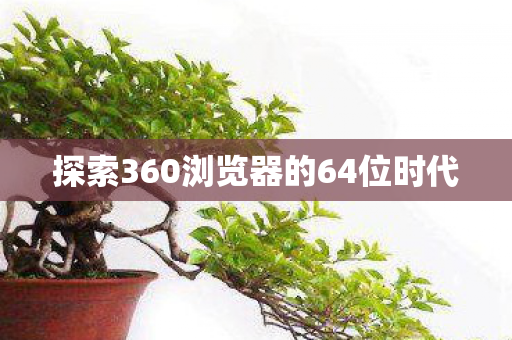 探索360浏览器的64位时代图片