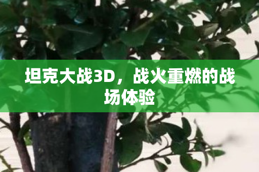 战火重燃的战场体验图片
