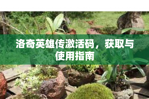 洛奇英雄传激活码图片