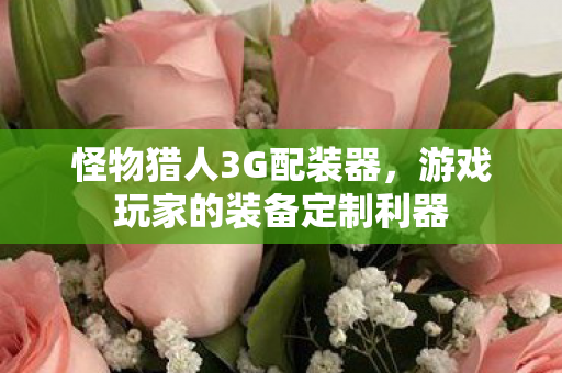 游戏玩家的装备定制利器图片