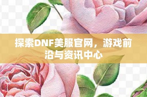 探索DNF美服官网图片