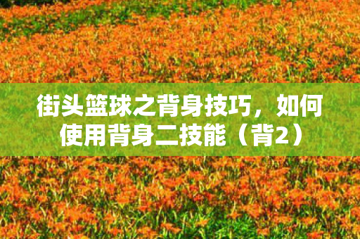 街头篮球之背身技巧图片