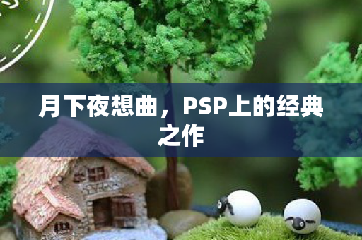 PSP上的经典之作图片